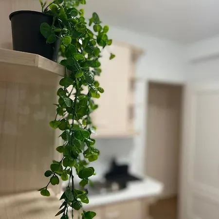 Elegancia Junto Al Rectorado. * Córdoba