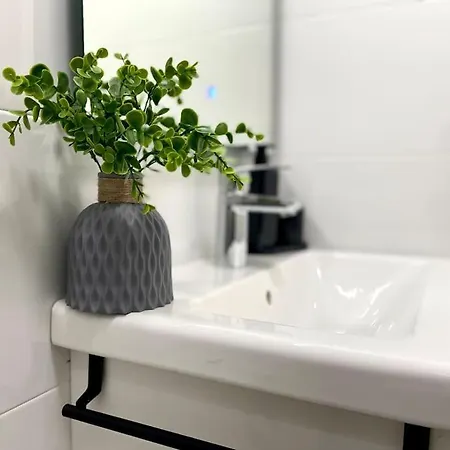 Elegancia Junto Al Rectorado. *