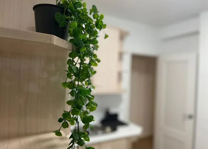 Elegancia Junto Al Rectorado. * Κόρδοβα